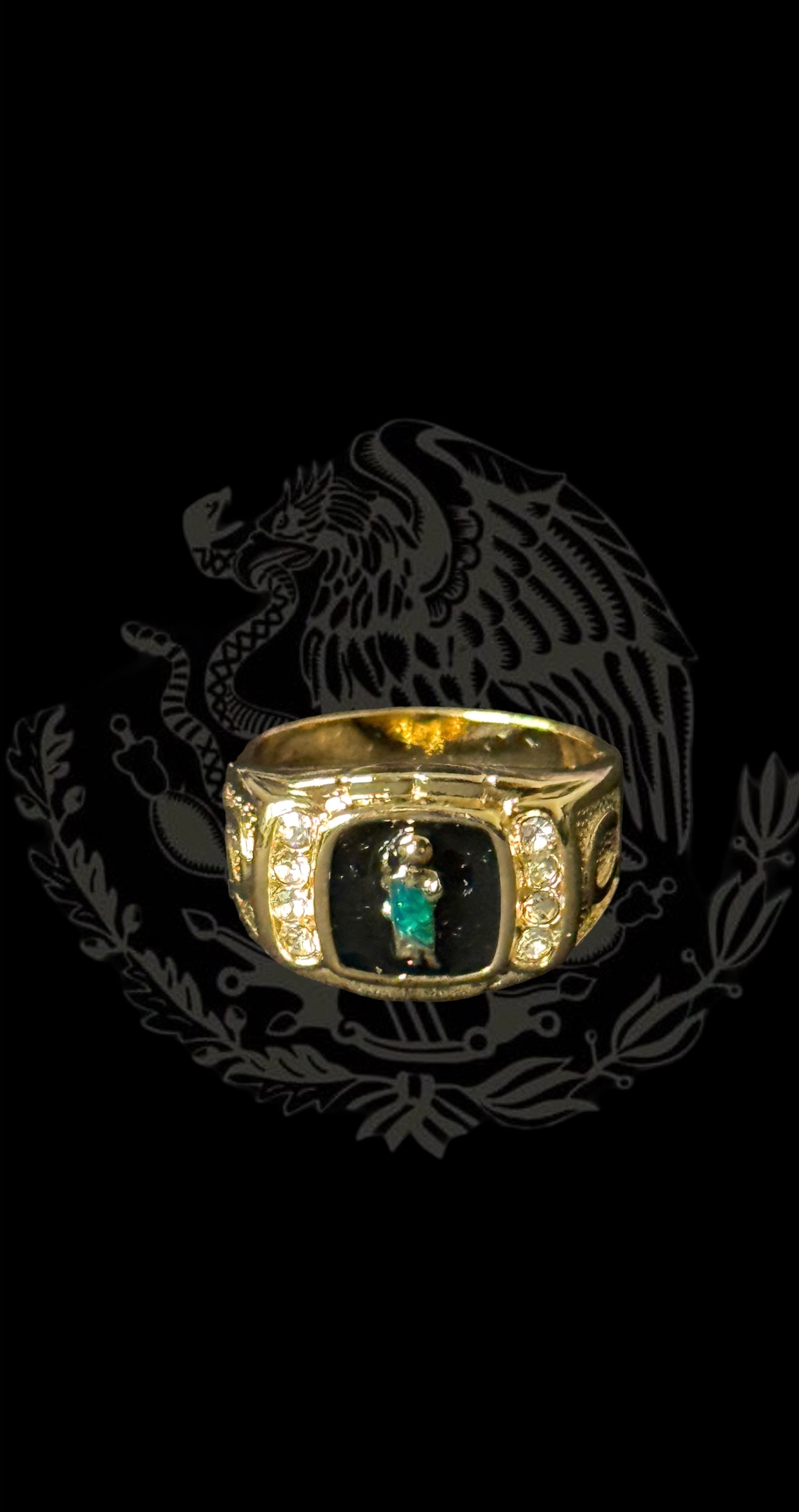 Usf hot sale class rings